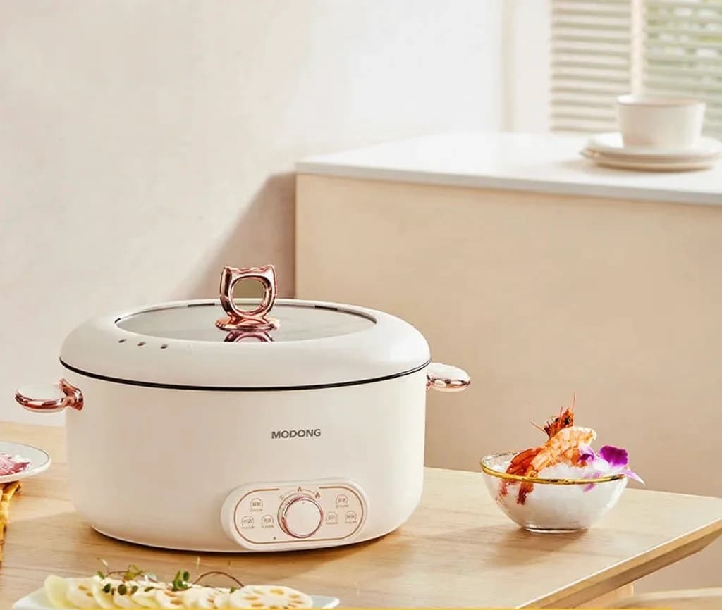 Elektrisk hetgryta 6L med ångkorg, nonstick