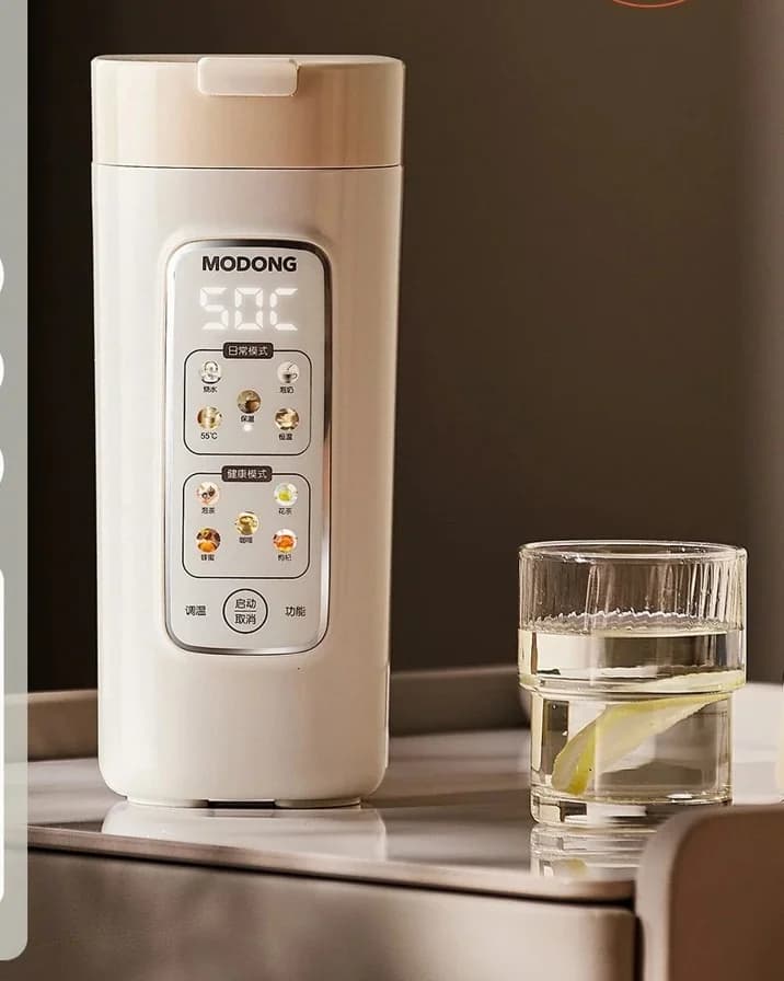 Bärbar elektrisk vattenvärmekopp med filter, 220V