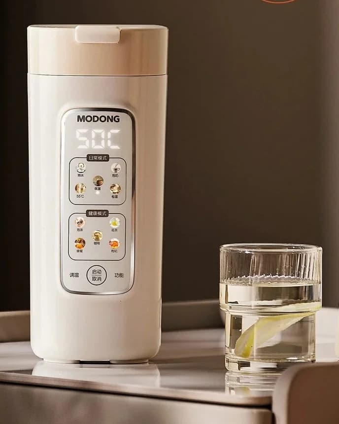 Bärbar elektrisk vattenvärmekopp med filter, 220V